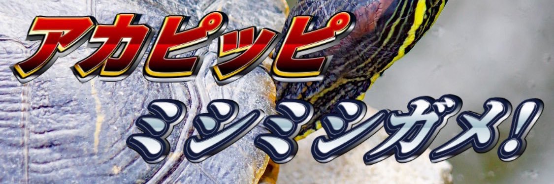 どんちゃん banner