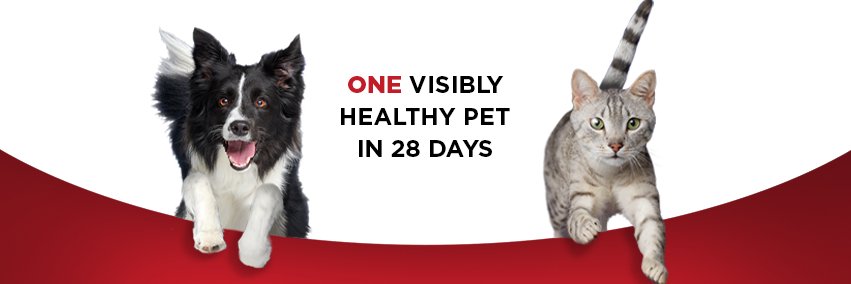 PurinaONE's profile banner image