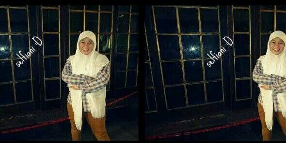 Selfiani banner