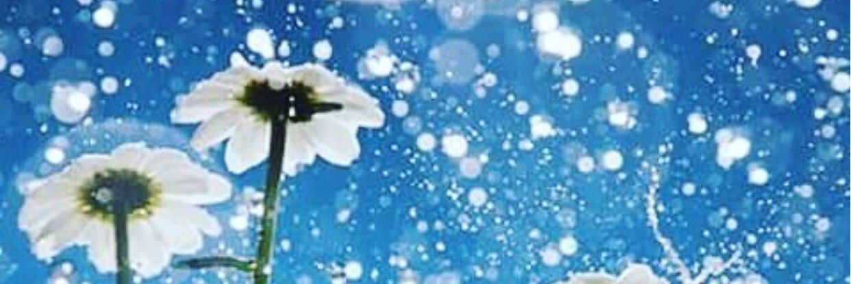hlydlk's profile banner image