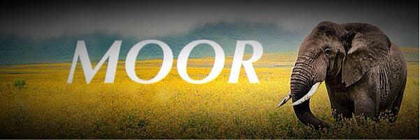 Moor_Raps's profile banner image