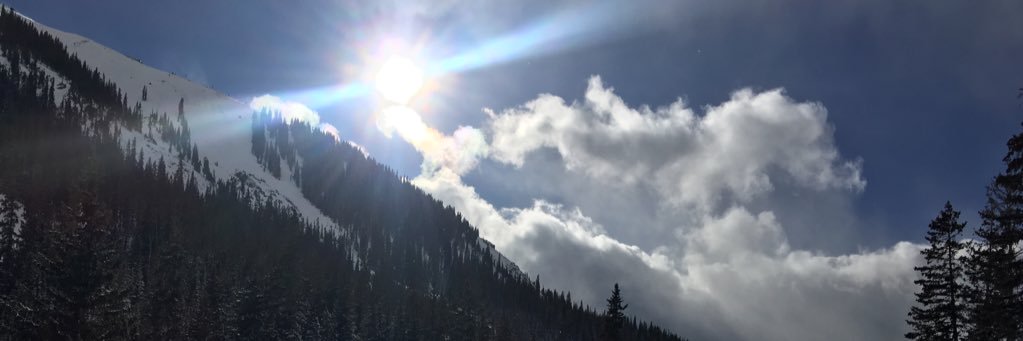 Michelley_f's profile banner image