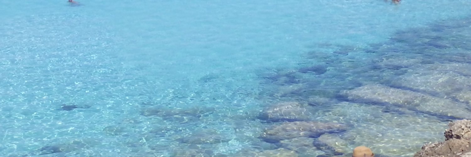 Gabriel Olveira banner