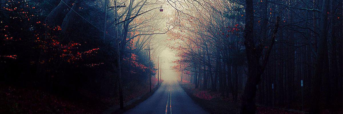 vadimshuv's profile banner image