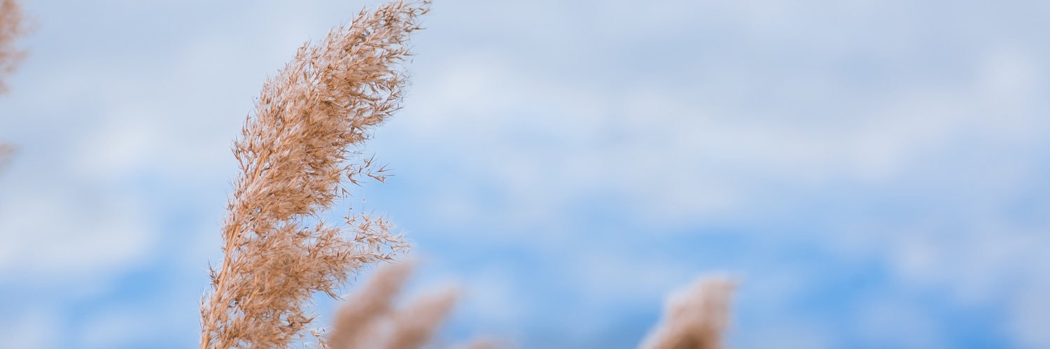 Alixa_M's profile banner image