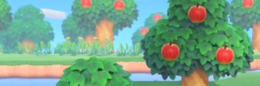 birbmidge's profile banner image