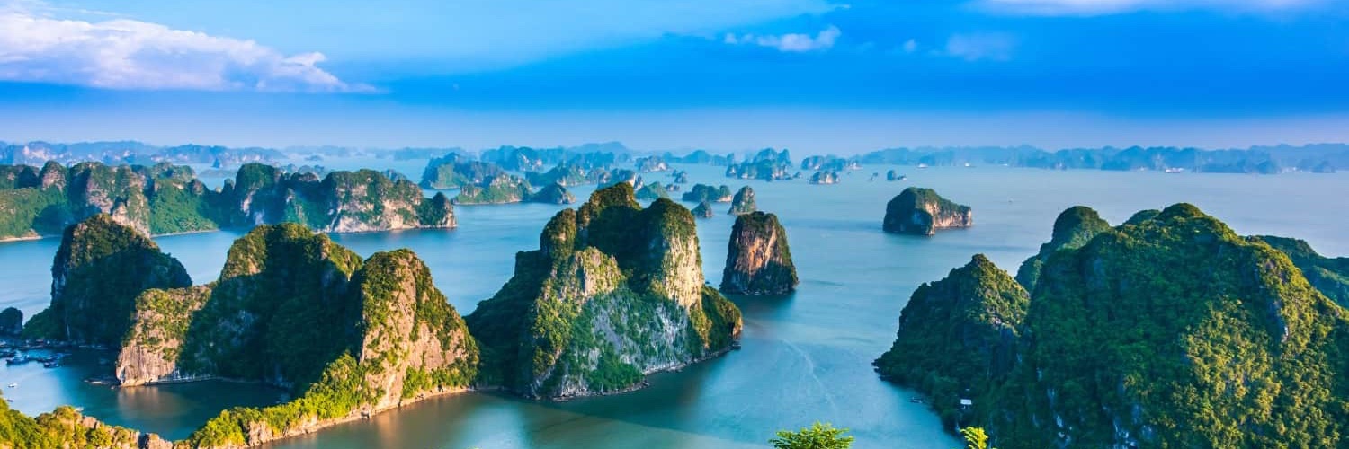 Chris Ha, DO, RMSK banner