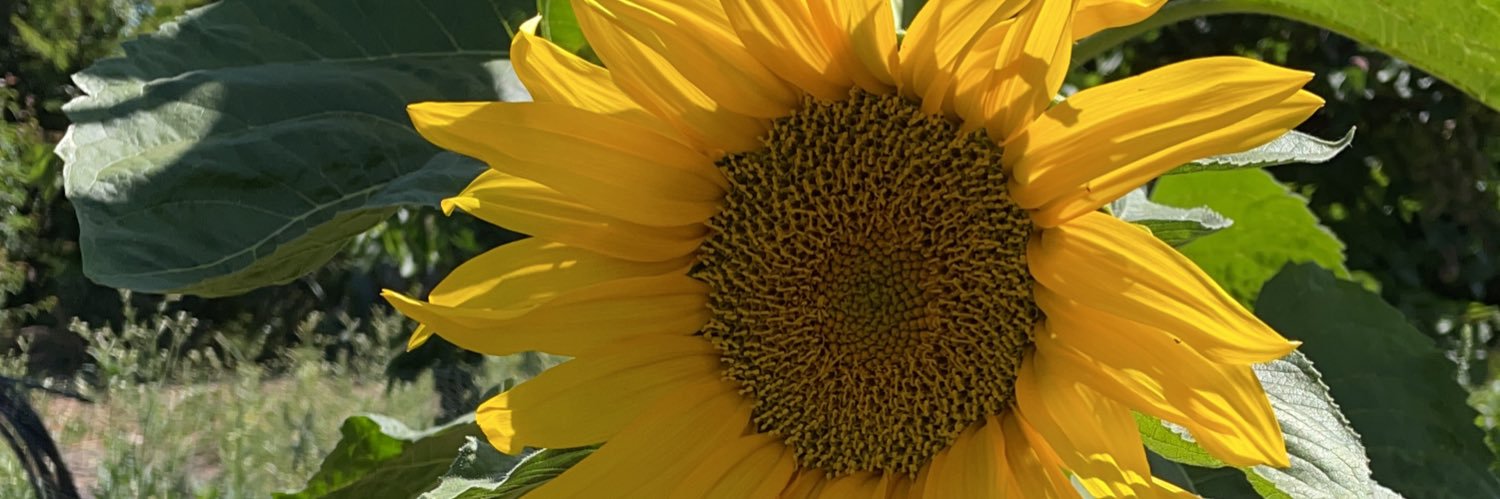 LigiaGH's profile banner image