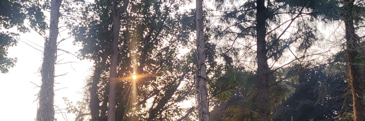_MrOReilly's profile banner image
