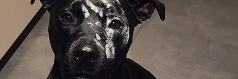 t0x4ll banner