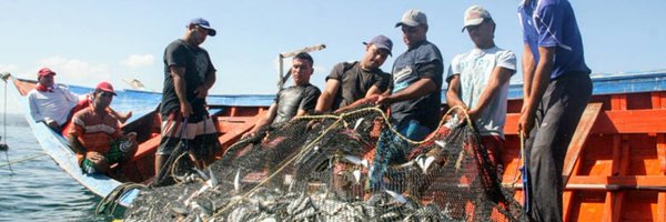 NotiPesca Profile Banner