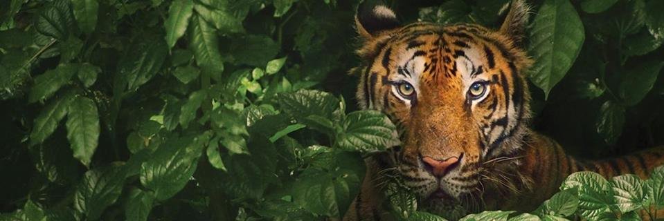 proleterkann's profile banner image