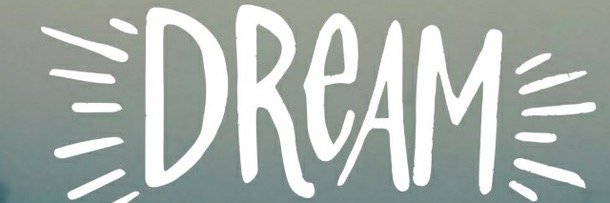 Shaleese strawn banner