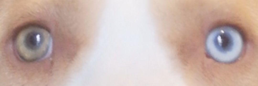 castje7's profile banner image