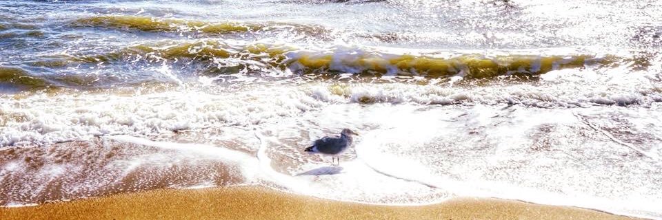 1227Denise's profile banner image
