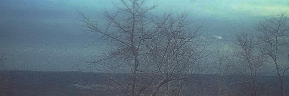 ShawnGallagher2's profile banner image