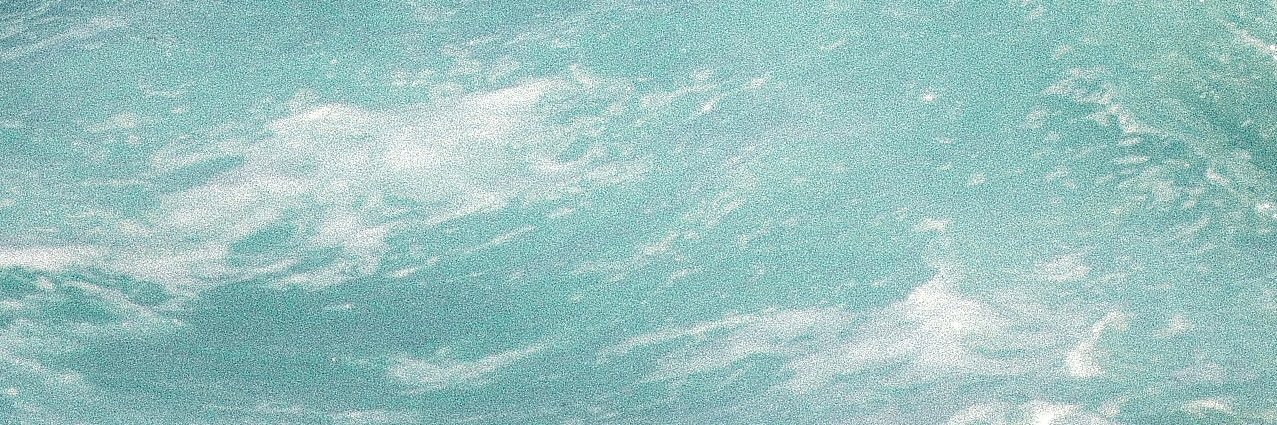 poppiepack's profile banner image