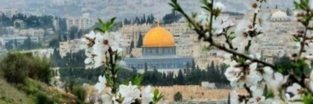 abuans1983's profile banner image