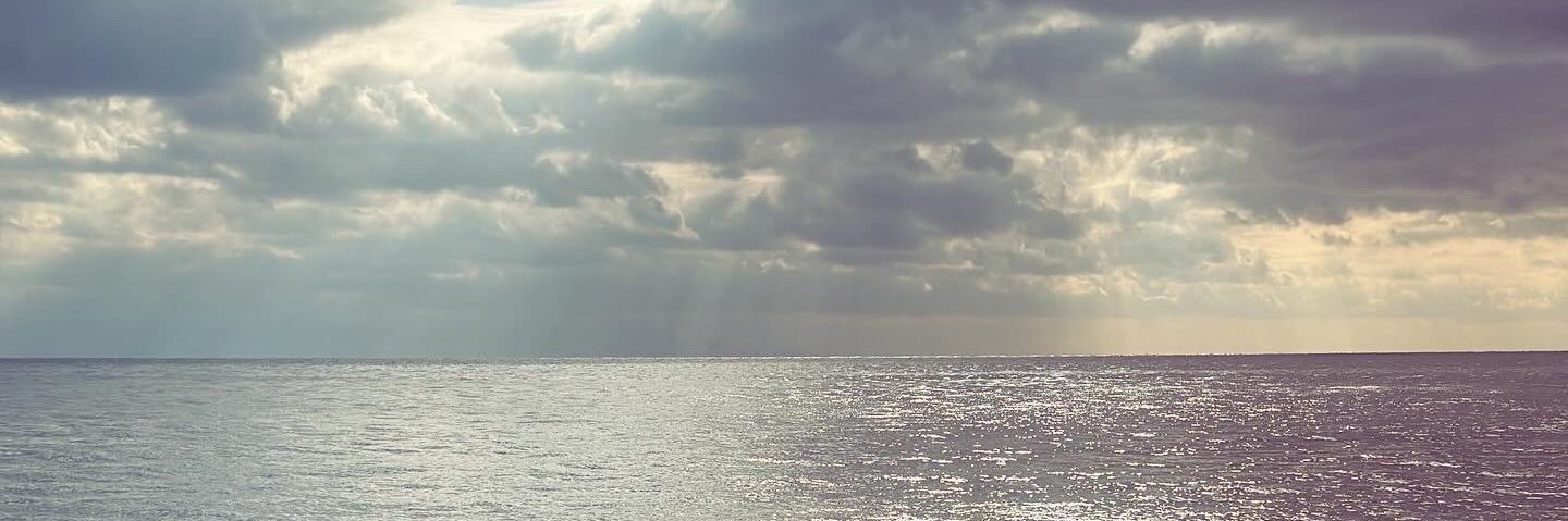 Burcu Kıratlı banner