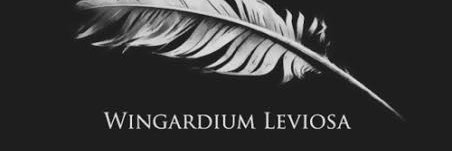 sebastiantetot's profile banner image