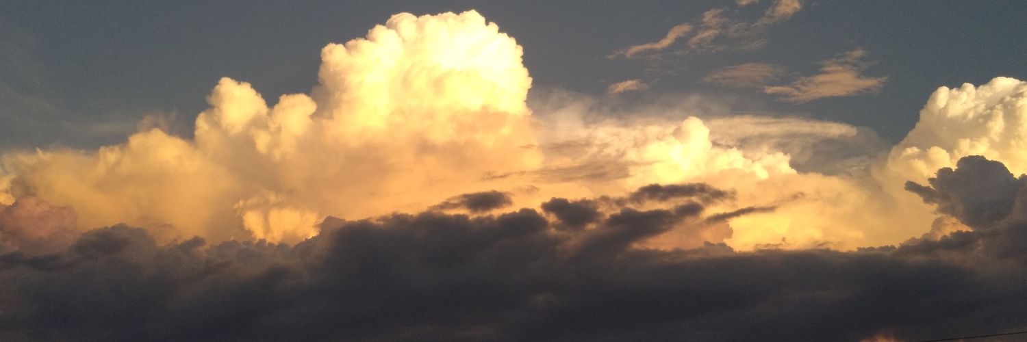 Mayraleyva88's profile banner image