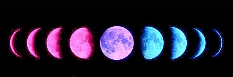 CamileXavi's profile banner image