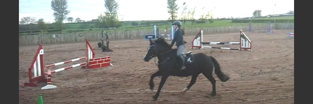 kjshowjumping's profile banner image