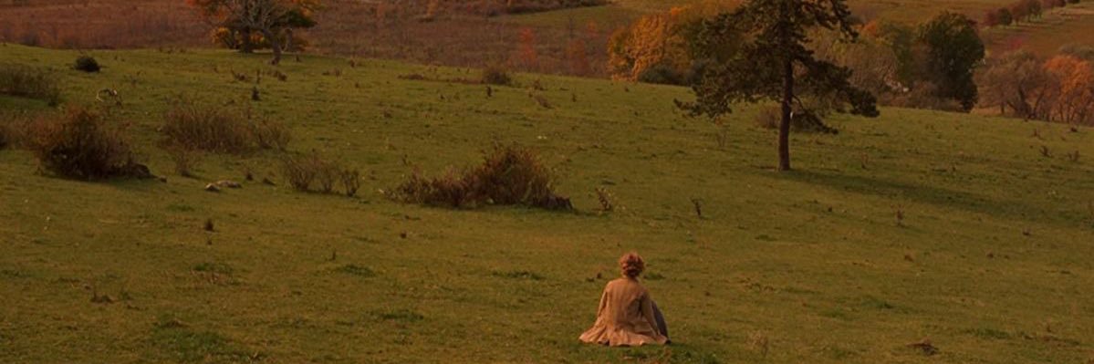 __softdreamer's profile banner image
