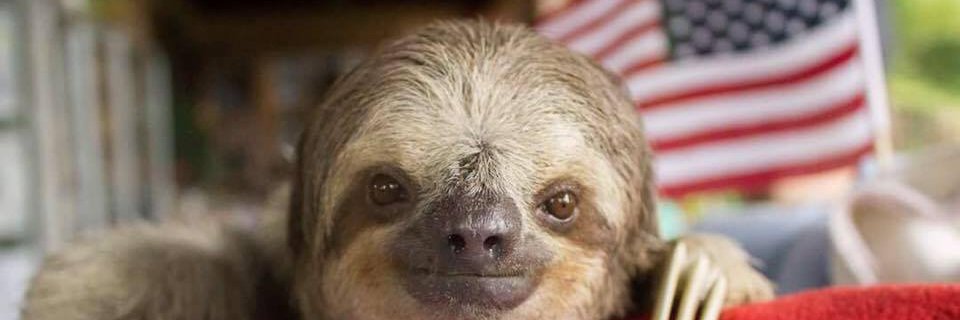 Devon Saliga (he/him) banner