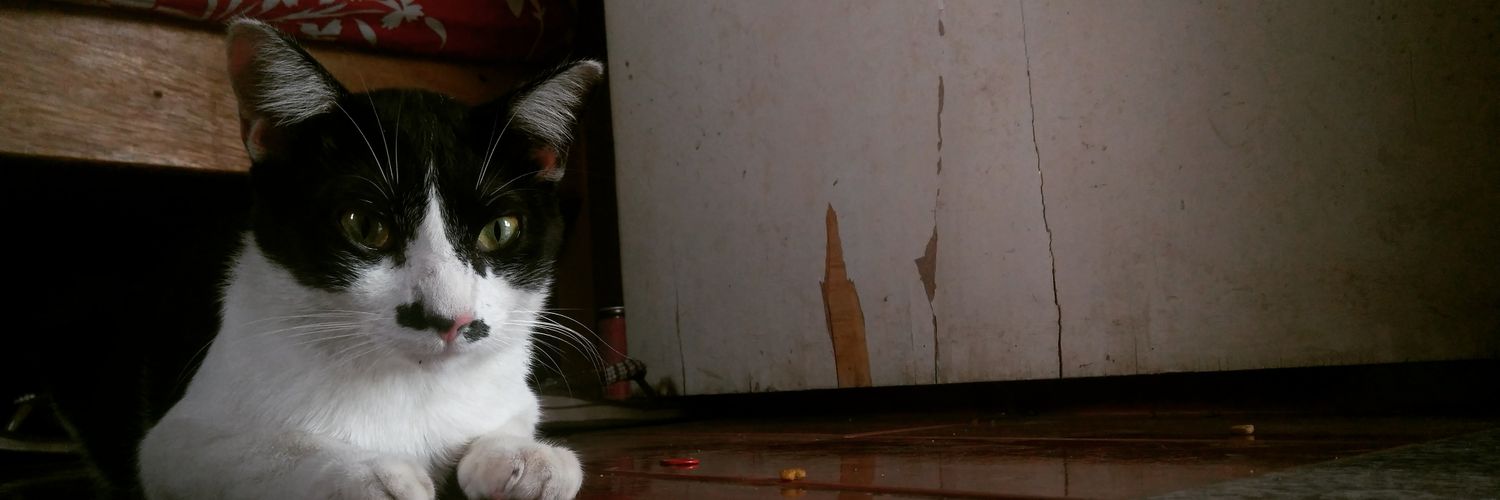 MaaxFury's profile banner image