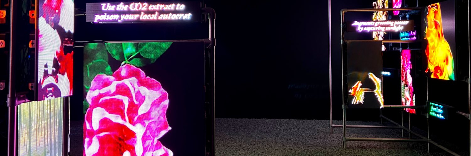 dtailor_'s profile banner image