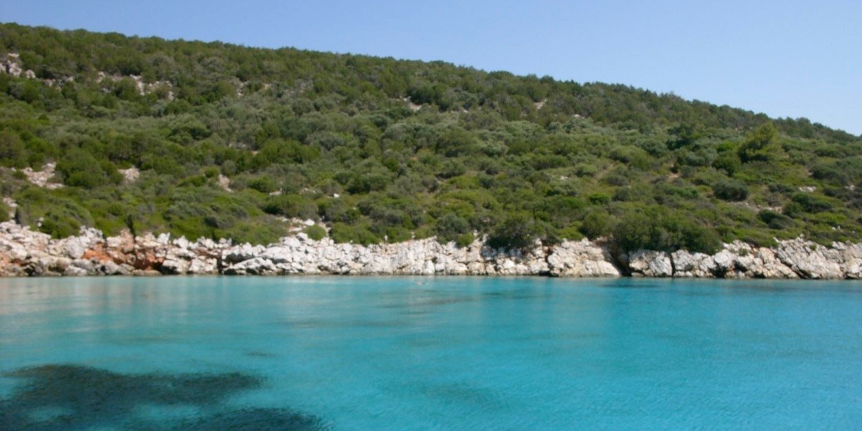 Cimbom113's profile banner image