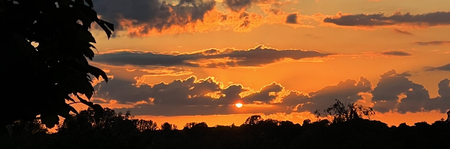 liblibdeluca's profile banner image