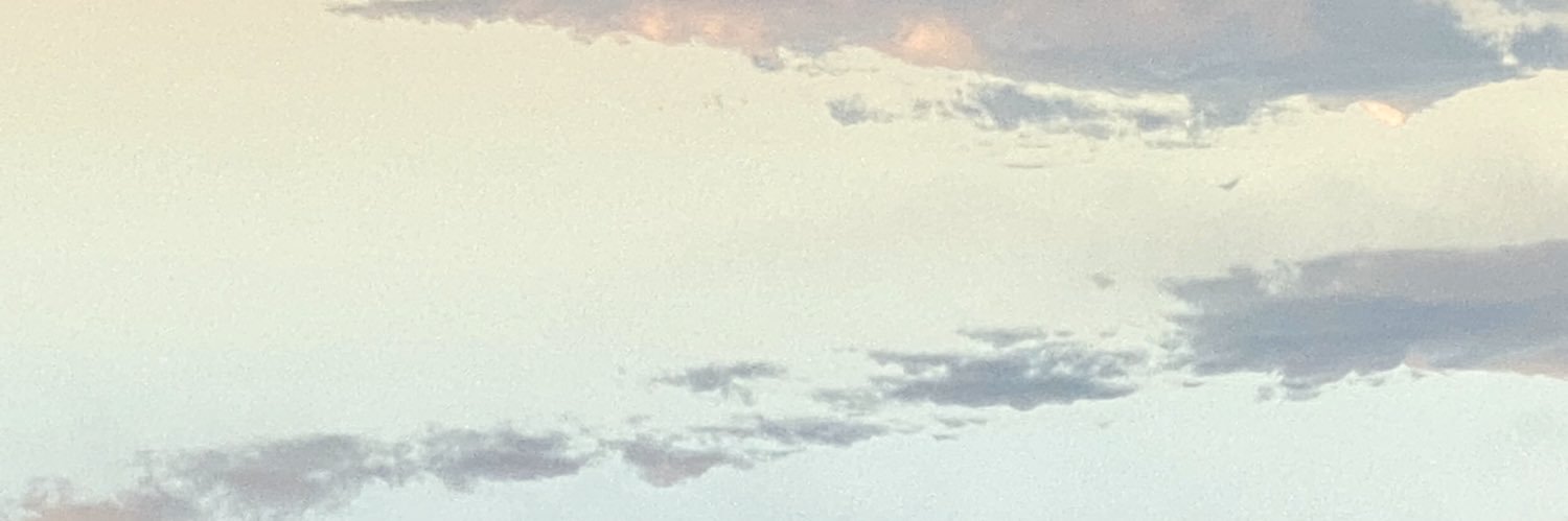 BaileyPaintings's profile banner image