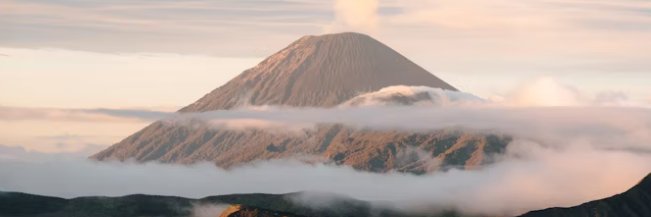 taurusaca2013's profile banner image