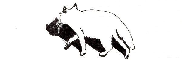 danylogalyko Profile Banner