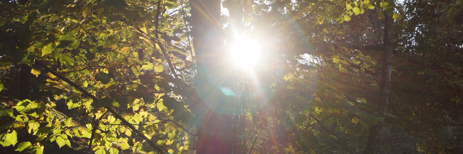 Lou_piee's profile banner image