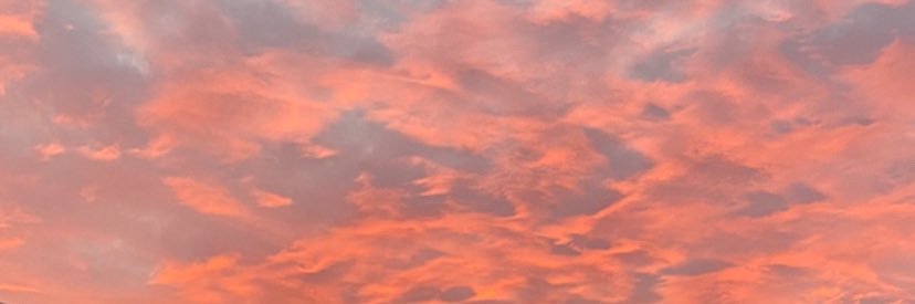 SebrechtsAmber's profile banner image