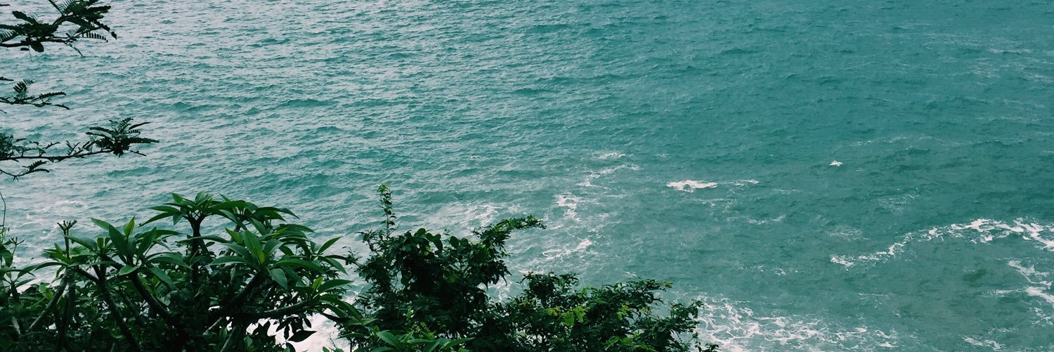 mollyearle13's profile banner image