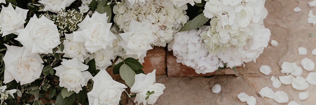 ashcakebread's profile banner image