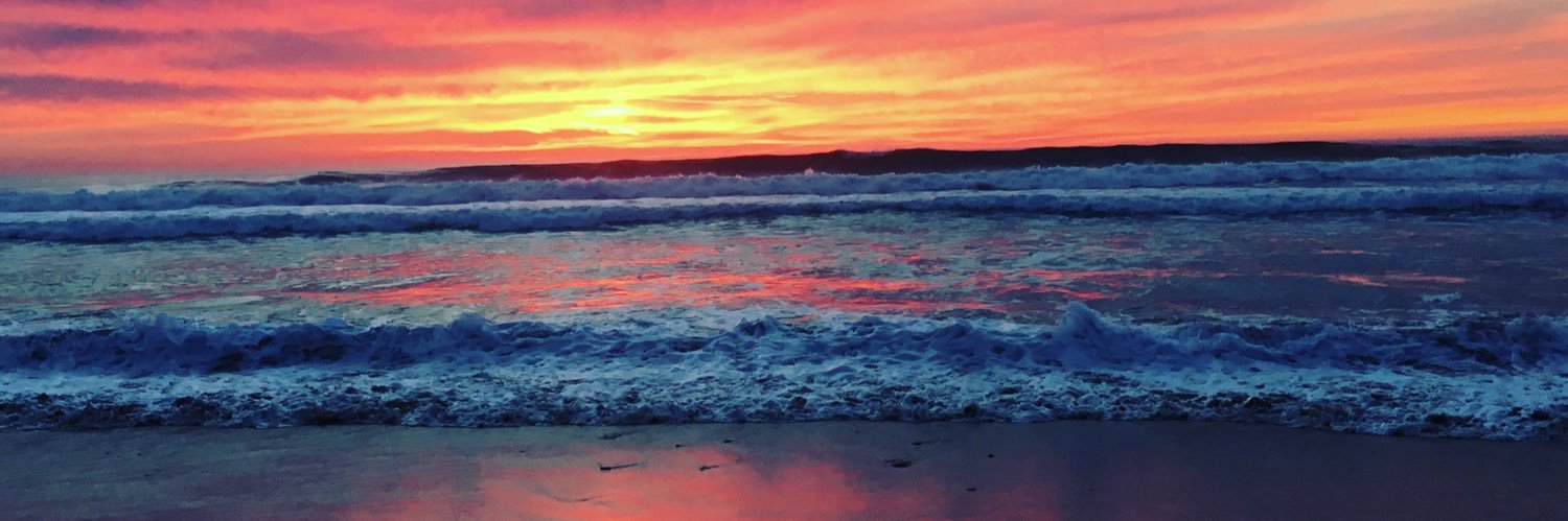 Emily C. Edmonds banner