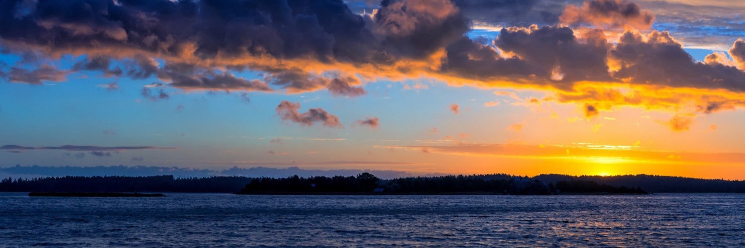 Steve Alcime banner