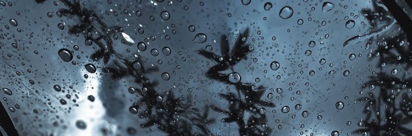 x103e's profile banner image