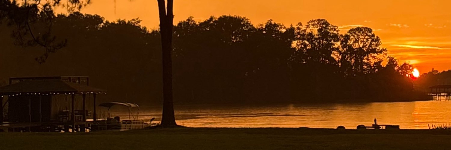 _alizeyzey_'s profile banner image