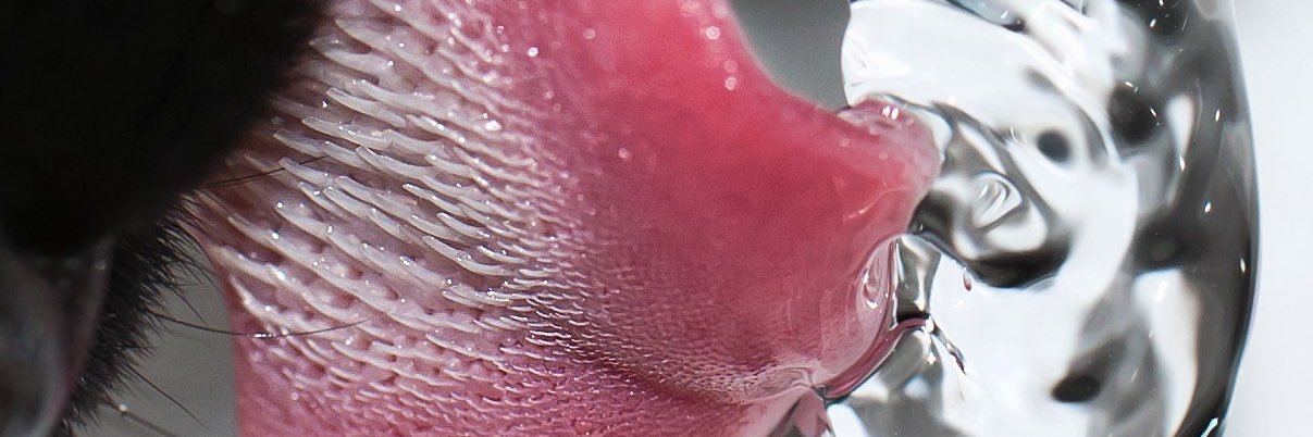 1lonelybabe's profile banner image