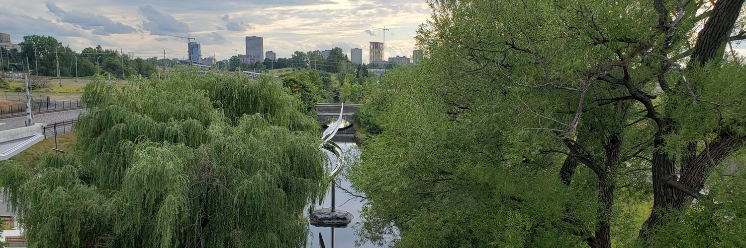 Laura Mueller banner