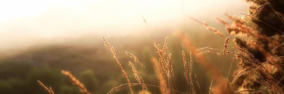 HoussinMarie's profile banner image