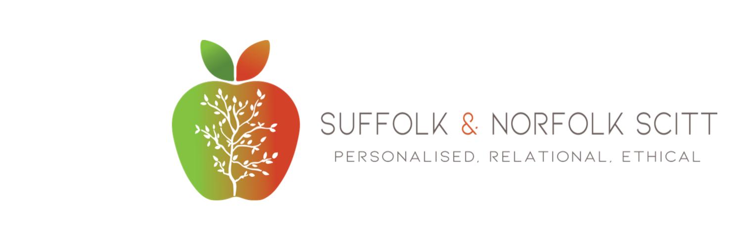 Suffolk & Norfolk SCITT - now recruiting as NESTT banner