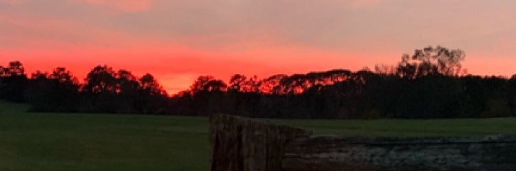 AnnaGraceHenson's profile banner image