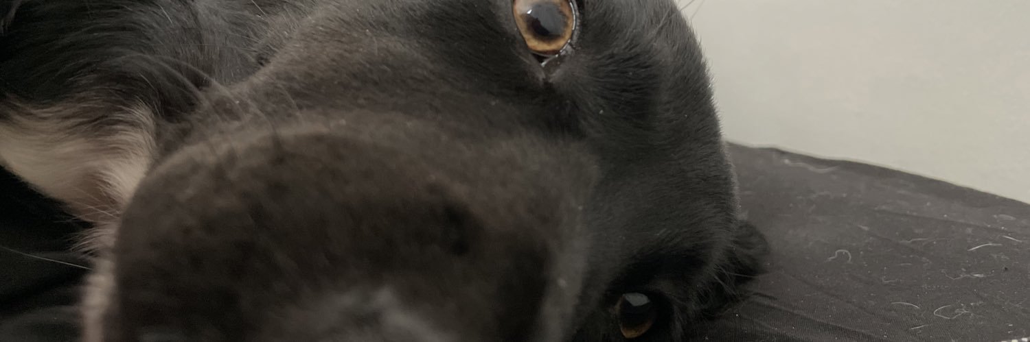 Tingley33's profile banner image